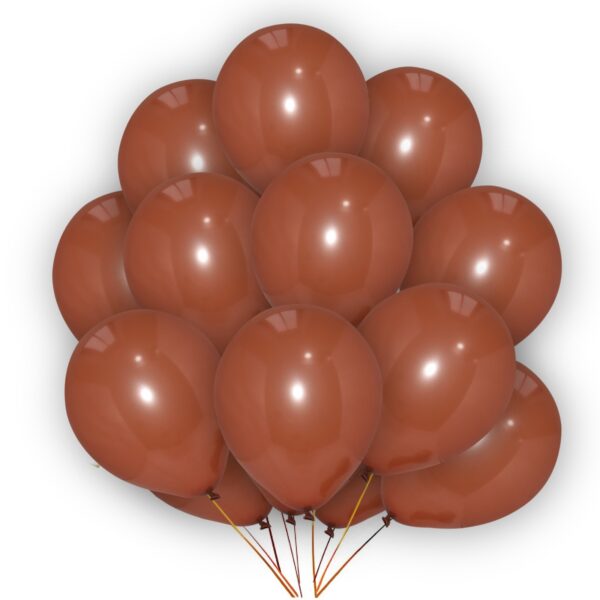 Brown-Plain-Balloons