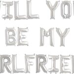 Silver-Will You Be My Girl Friend
